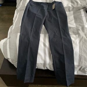 Express Columnist Dress pants